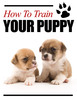 Thumbnail How to train your Puppy Thumbnail How to train your Puppy